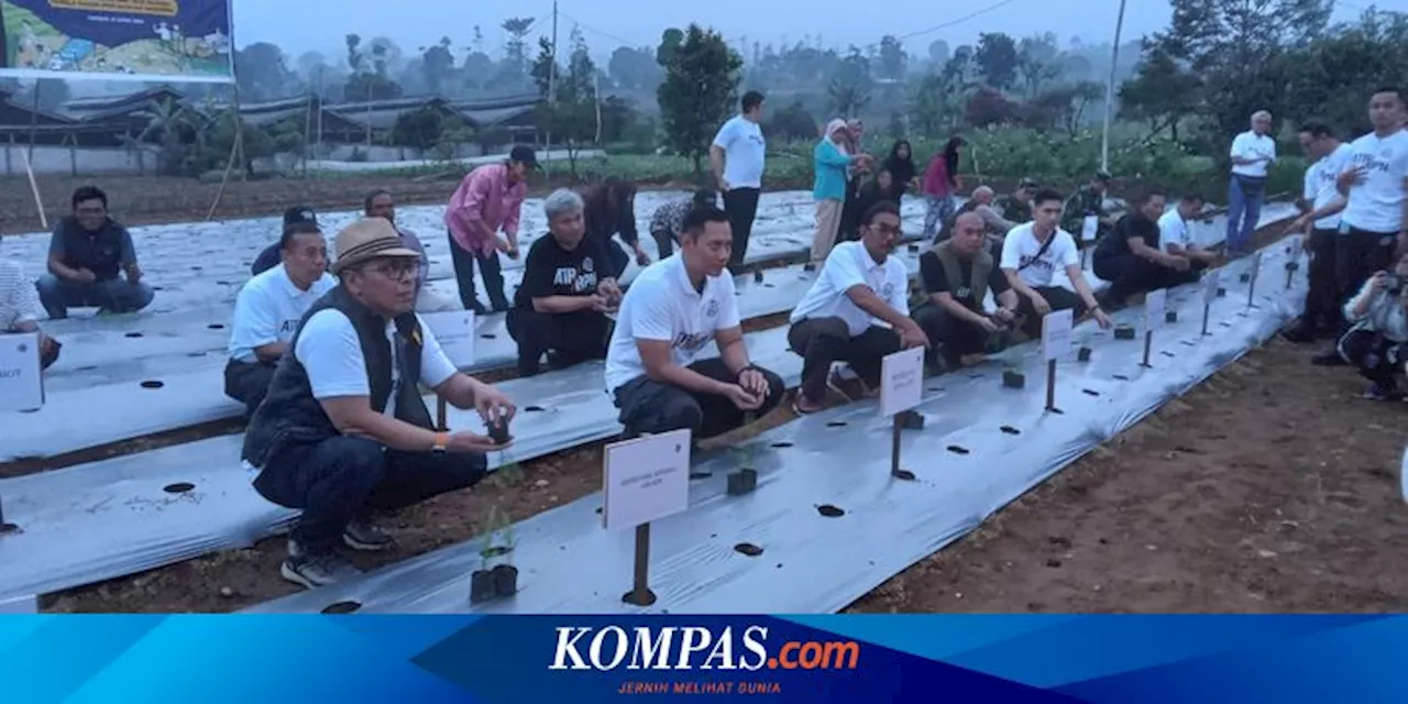 Kementerian ATR/BPN Gandeng BUMN dan Swasta, Bina Warga Manfaatkan Tanah Hasil Redistribusi