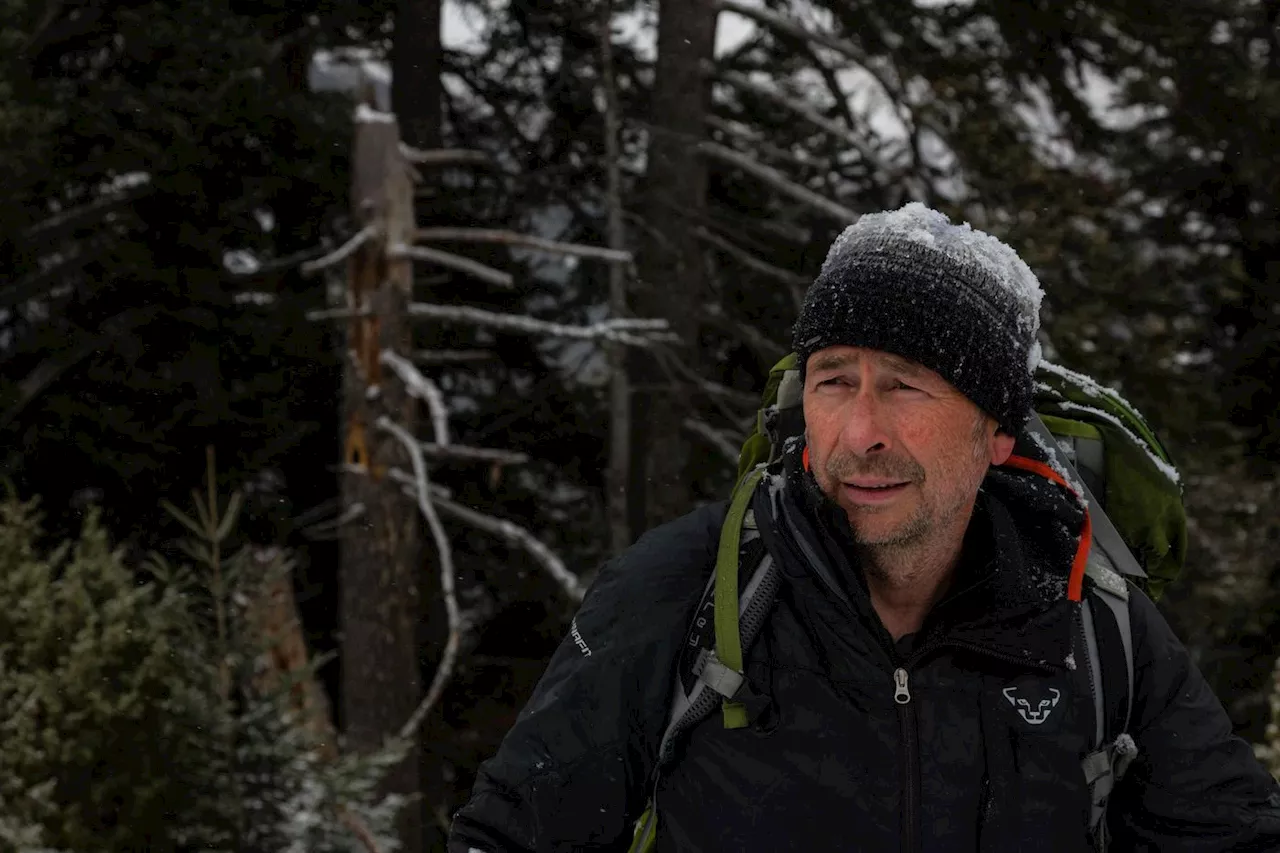 Jean-Michel Bertrand, un cinéaste sur les pas des loups