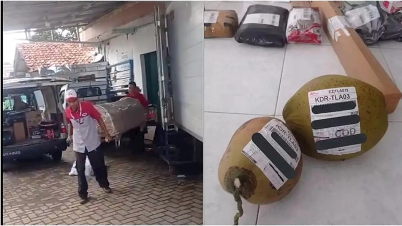 7 Potret Barang yang Dibeli di Online Shop Ini Nyeleneh, Bikin Tepuk Jidat