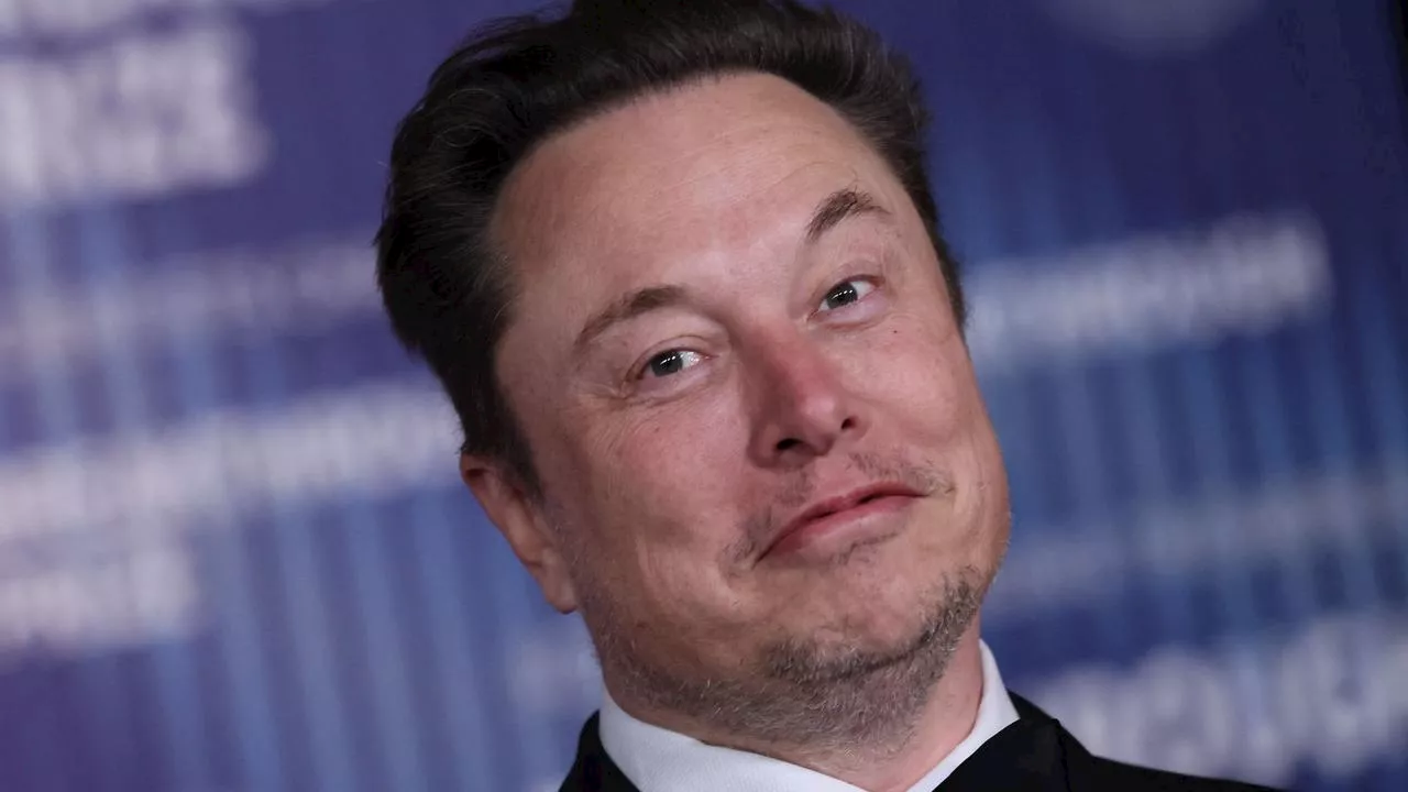 ‘Lawless’: War declared on Elon Musk