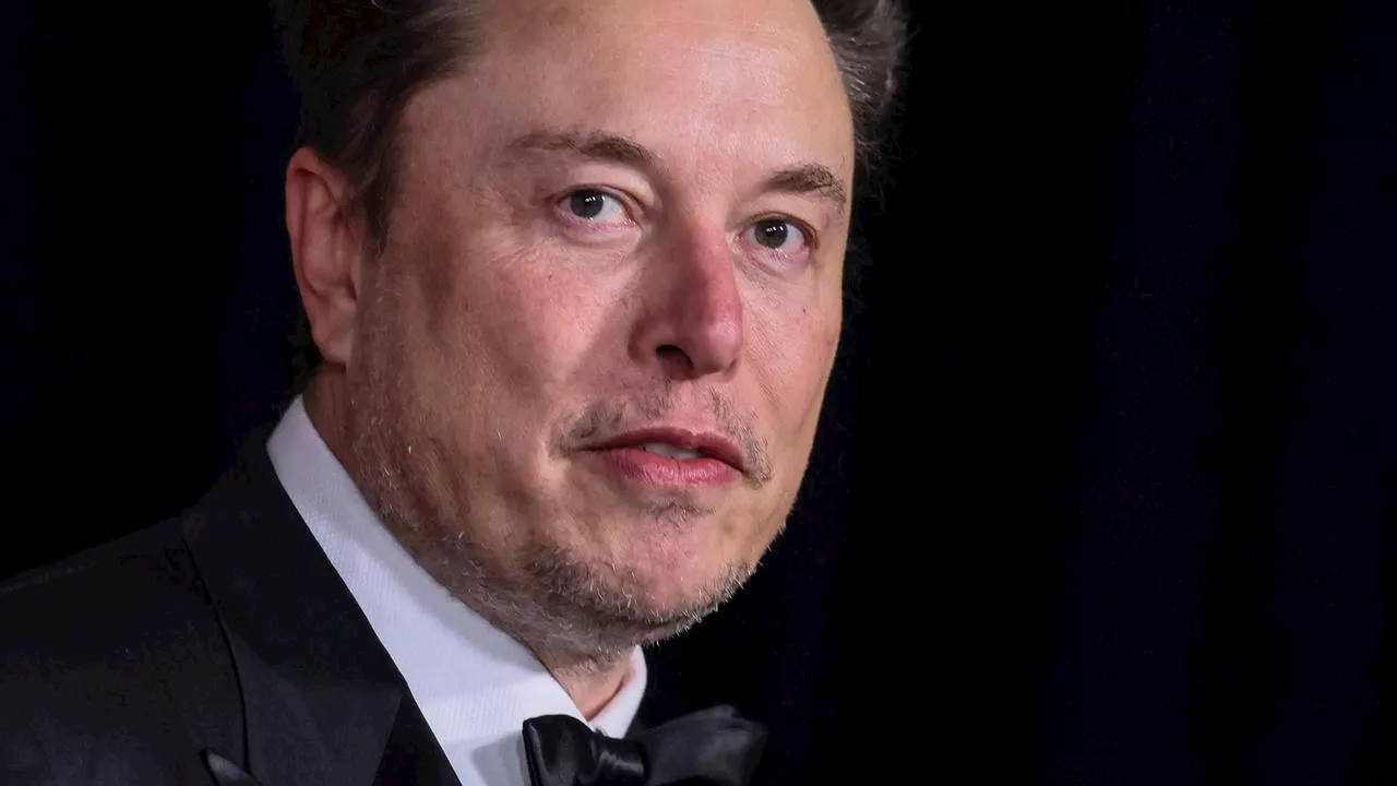 ‘Narcissistic’: MPs hit out at Musk