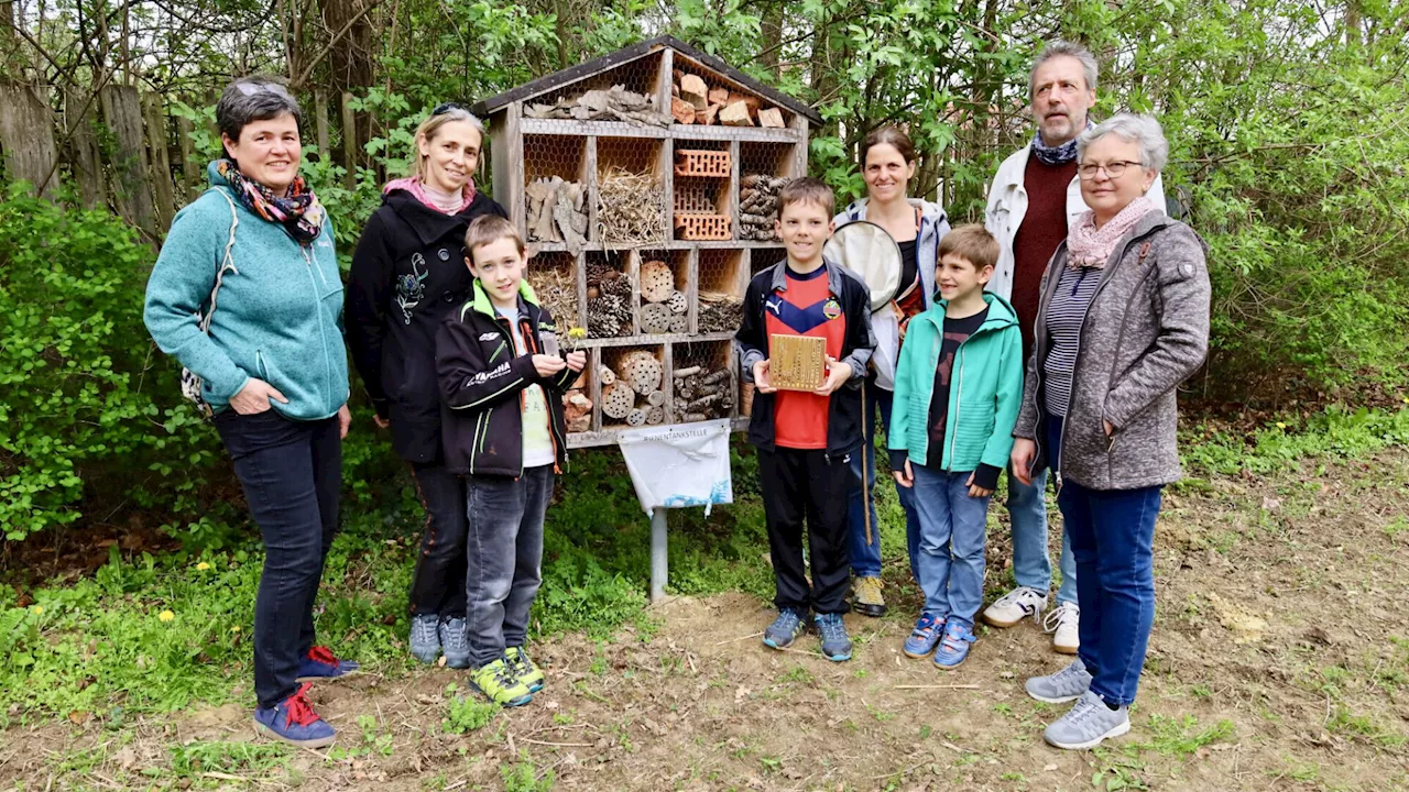 Asparn: Insektenhotels der Erlebnisschule genauestens inspiziert