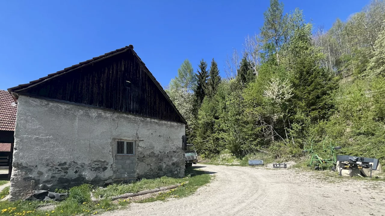 Bauernhof-Projekt spaltet die Gemüter