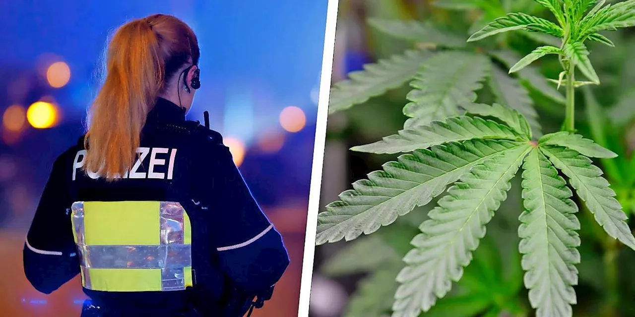 Mann droht mit Messer - Polizei findet bei ihm eine Marihuana-Plantage