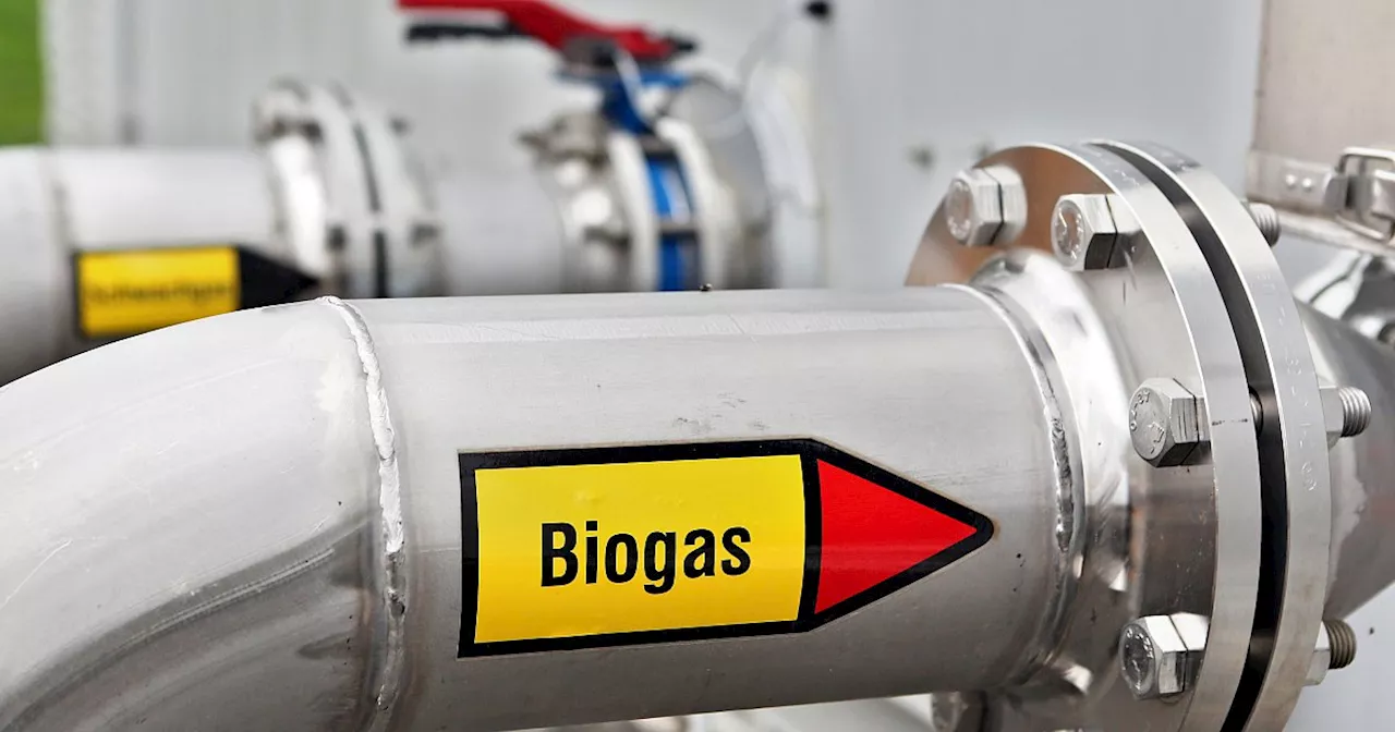 Politik überstimmt Verwaltung zum Sondergebiet für Biogasproduktion in Delbrück