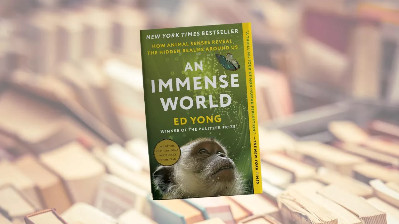 Ed Yong’s ‘An Immense World’ review: Understanding the world beyond our eyes