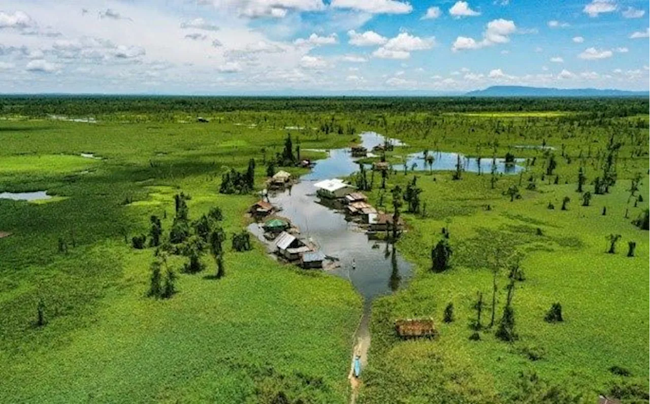 Singaporean researchers introduce peatland restoration tech