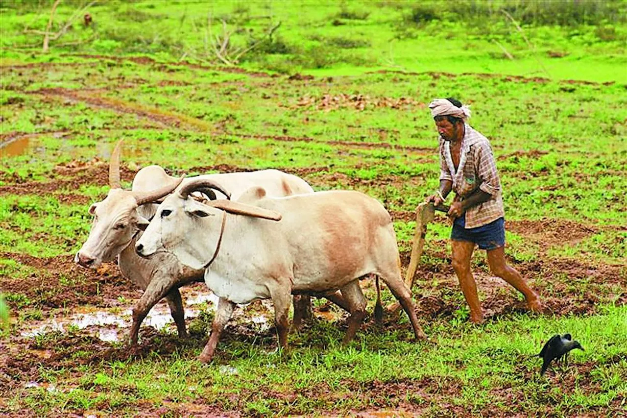 किसानों को राहत, ऋण चुकाने की तिथि बढ़ी, डिफाल्टर होने का खतरा भी टला, देखिए क्या है नया आदेश