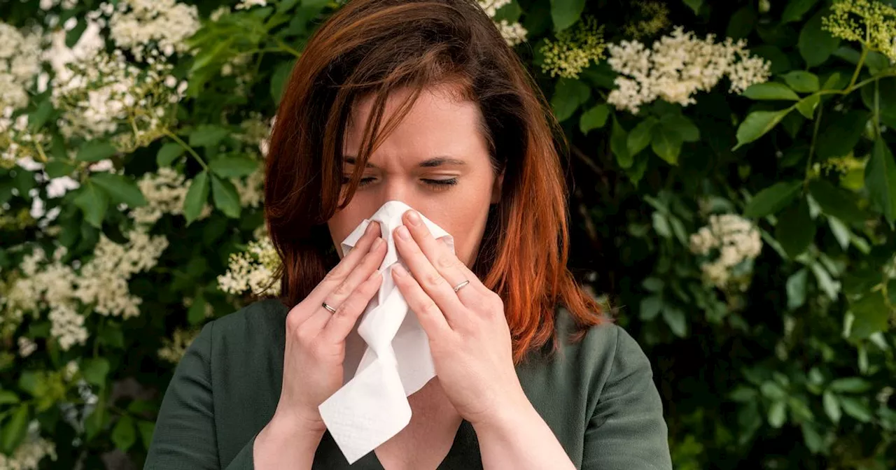 'Essential vitamin' helps hay fever sufferers fight off symptoms