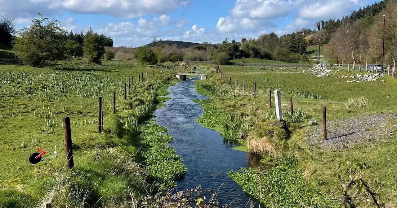 Irish weather: Met Eireann pinpoint when rain will return as temps reach 18°