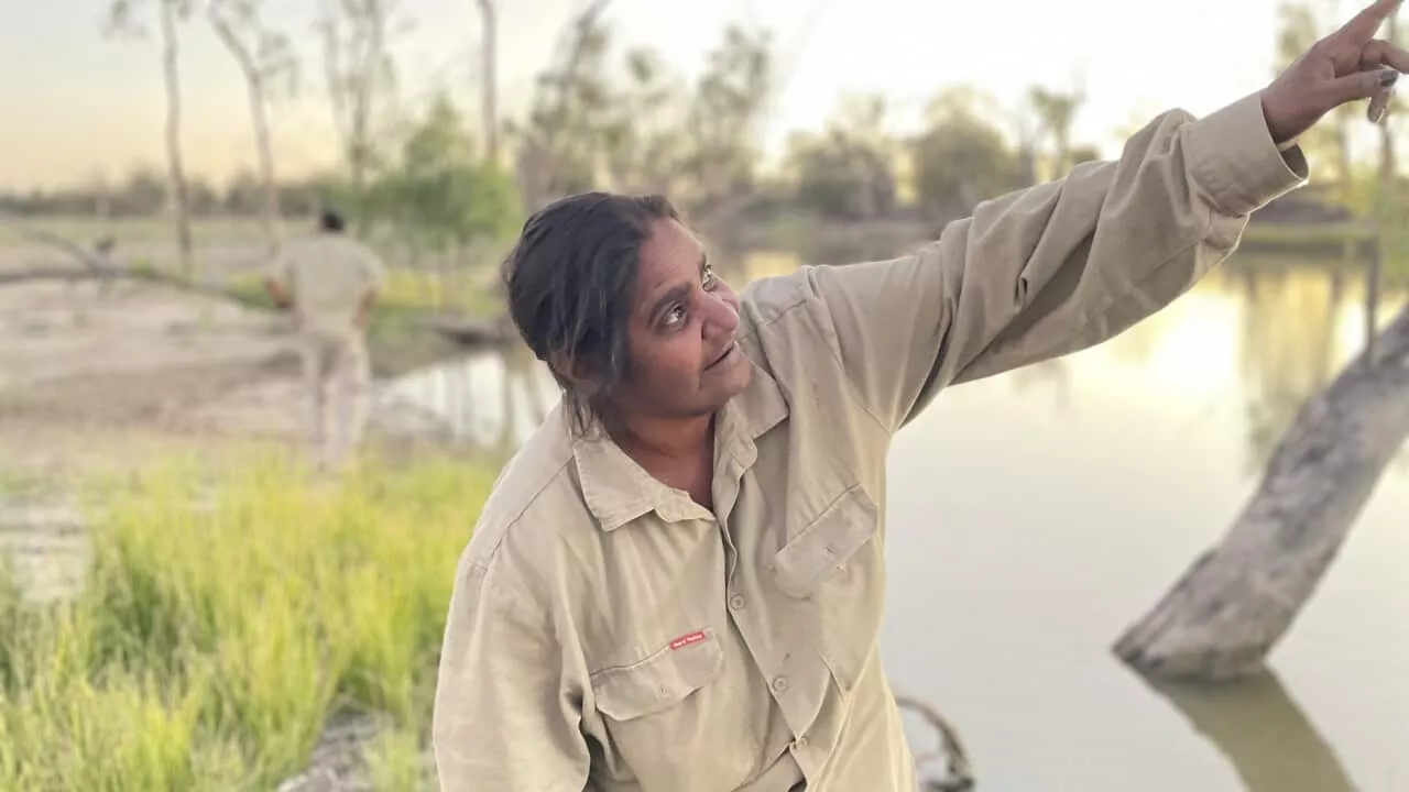 South Australia's Riverland region bursting back to life after floods