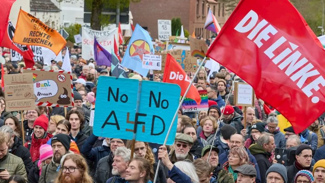 Polizei: Demo bei AfD-Landesparteitag: 'Keine größeren Störungen'