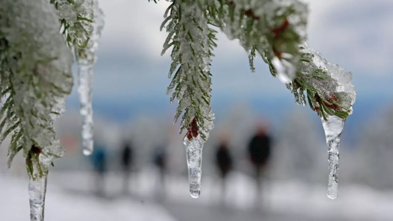 Wetter: Sonne-Wolken-Mix am Sonntag: Nachts wird es frostig