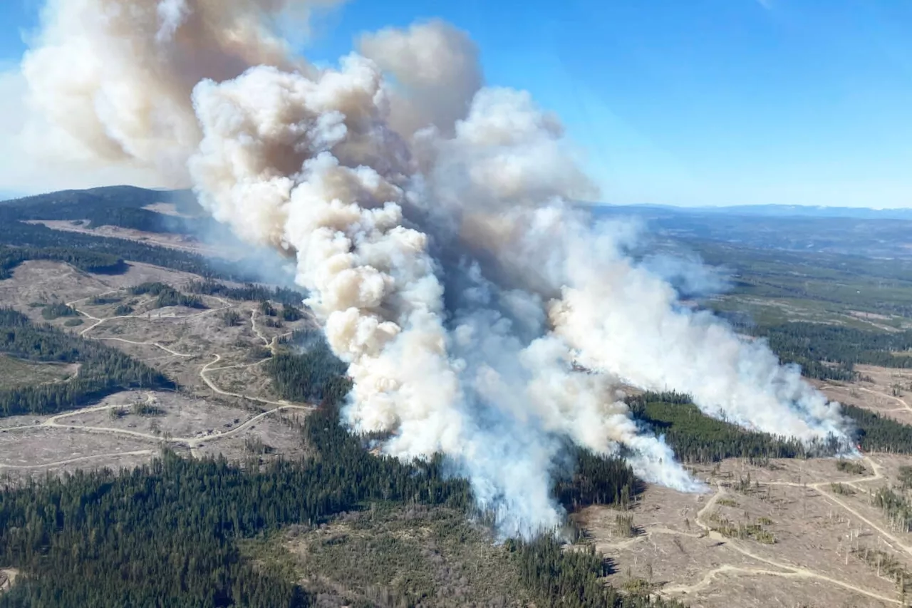 Numerous wildfires sparked in B.C.’s Caribou region over weekend