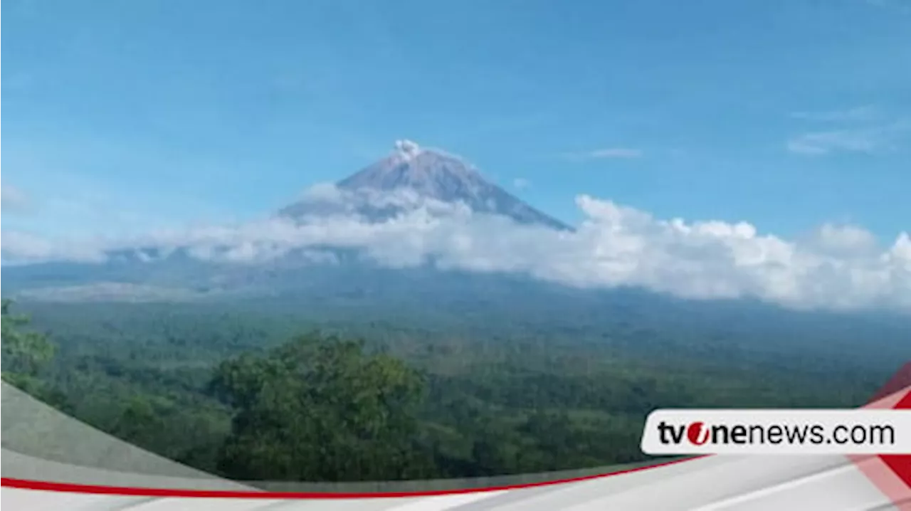 Hari Ini Gunung Semeru Sudah Tiga Kali Erupsi, Tinggi Letusan Capai 600 Meter