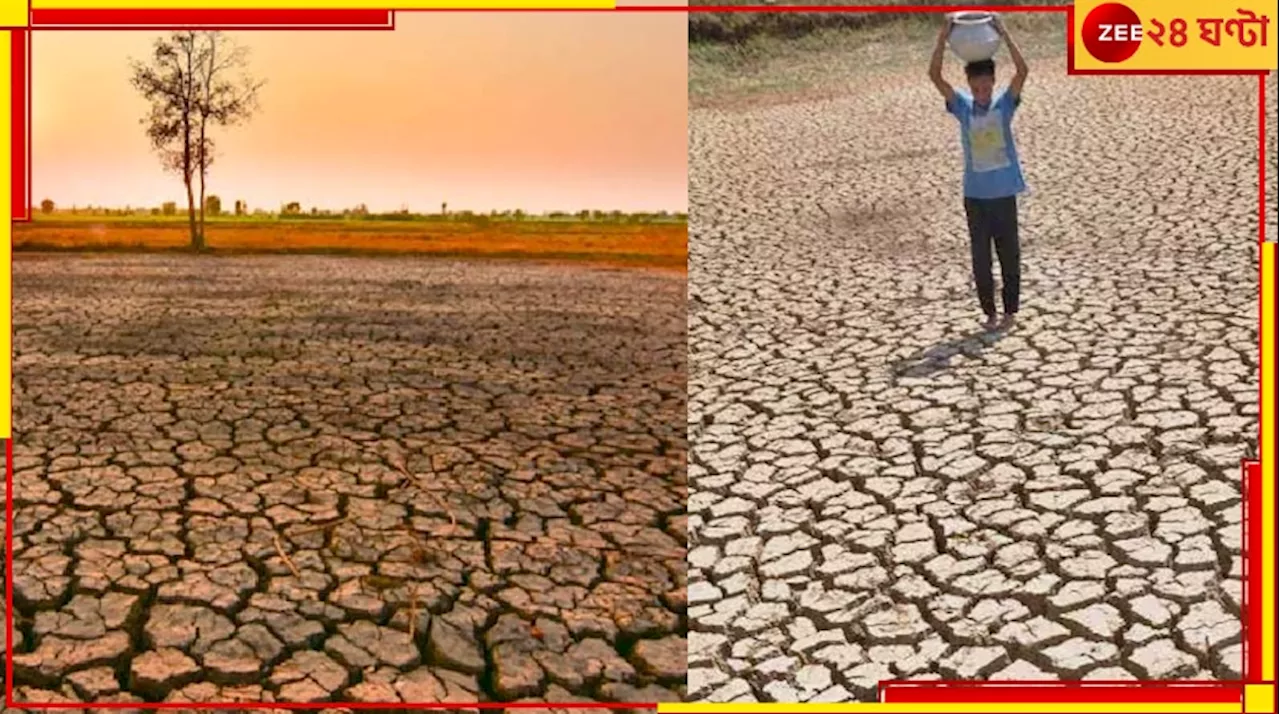 Heat Wave in Bengal: তাপমাত্রা পৌঁছল প্রায় ৪৫° সেলসিয়াসে, লুর আতঙ্ক! কোথায় কতক্ষণ লাল সতর্কতা?