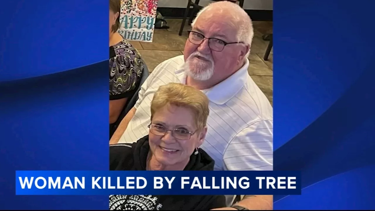 Woman killed after tree falls onto her camper in Bucks County