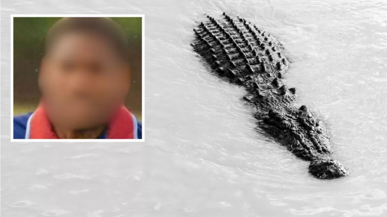 Teenage boy killed by crocodile off Saibai Island, Torres Strait, remembered as ‘humble and kind-hearted’