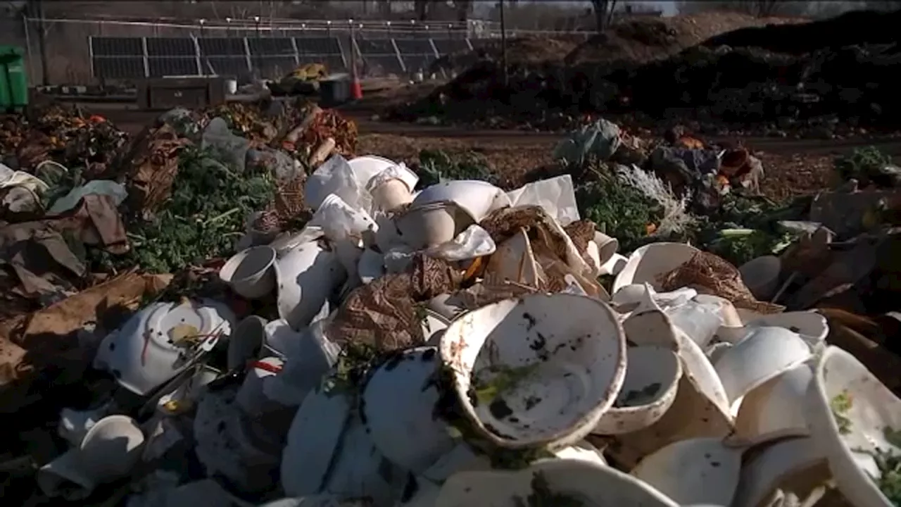 Program teaching how to compost cut from NYC budget, as compost numbers 'poor,' says report