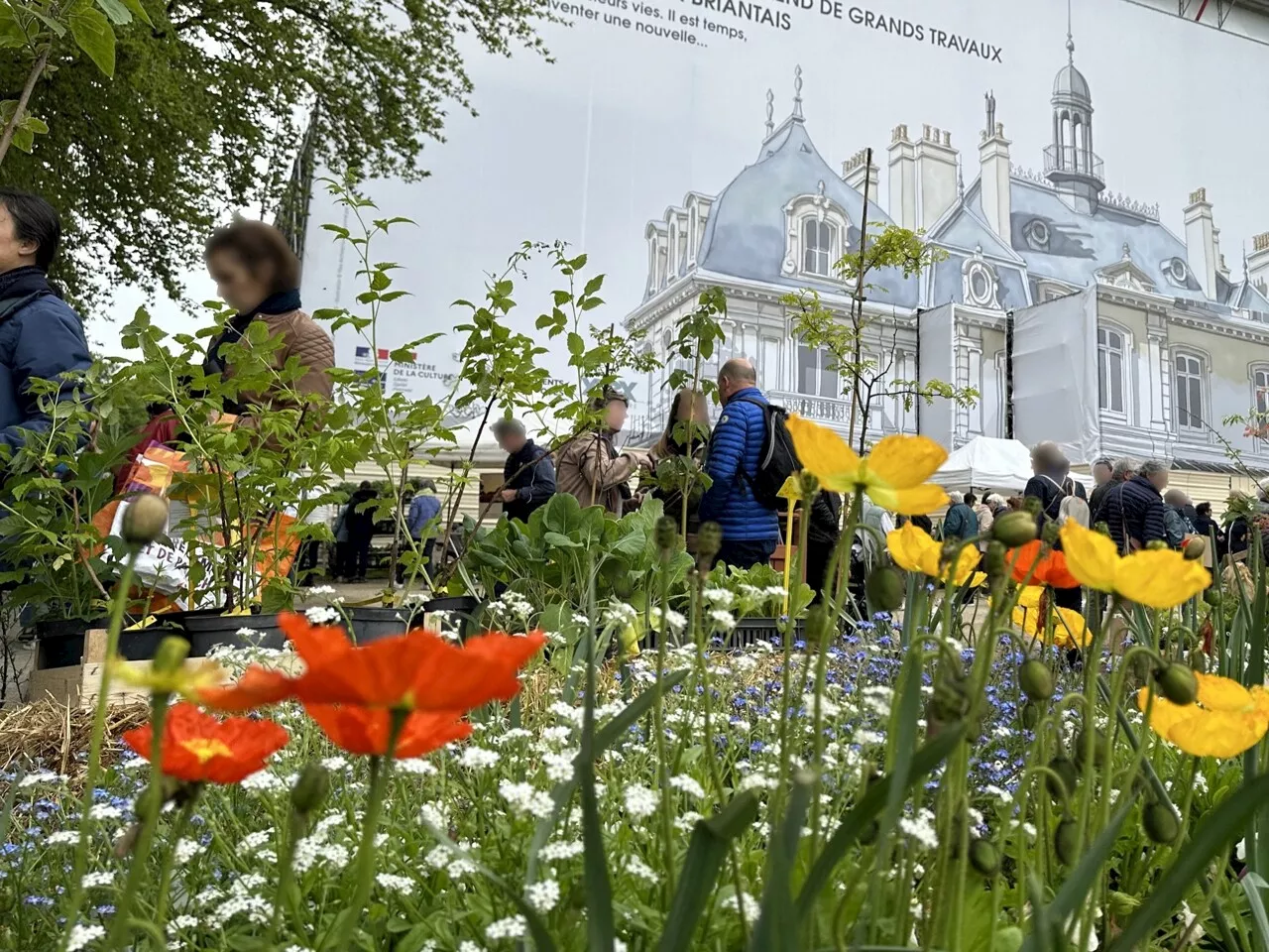 À Saint-Malo, une semaine pour sensibiliser à la biodiversité locale