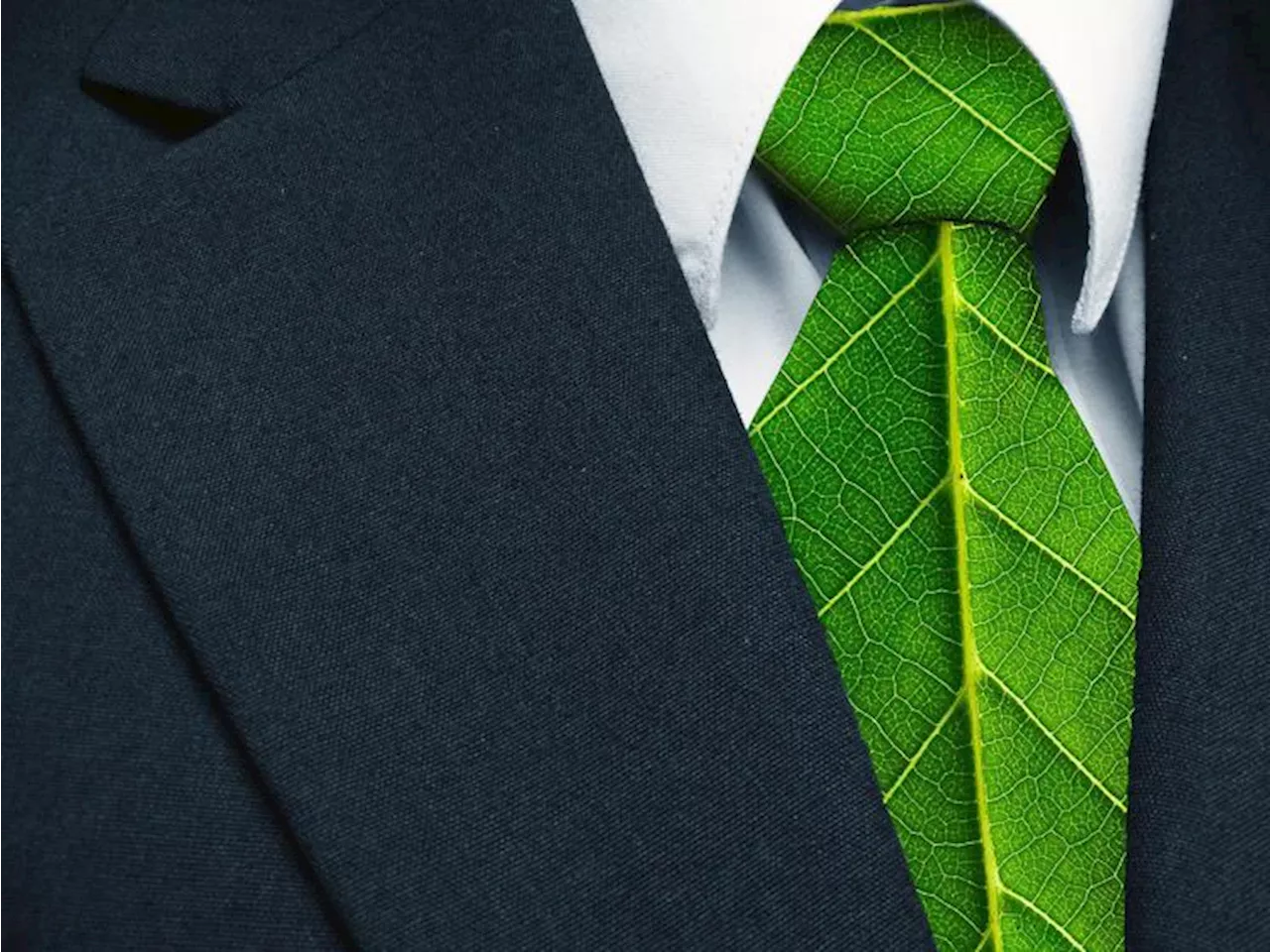 Il divario tra domanda e offerta di green jobs in Italia