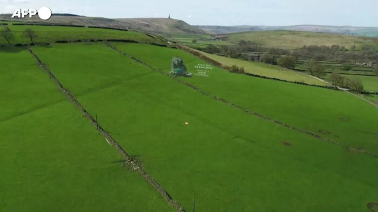 Giornata della Terra, un dipinto gigante ricopre una collina dello Yorkshire