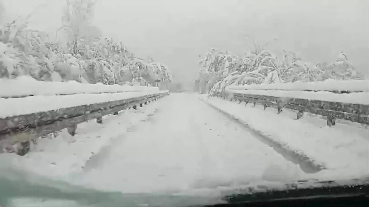 Maltempo, la neve imbianca l'Appennino emiliano