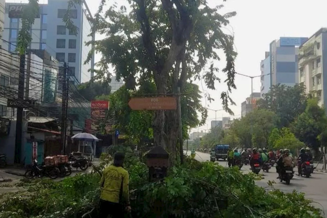 Tindaklanjuti aduan warga, Tamhut Jakbar pangkas pepohonan di Gropet