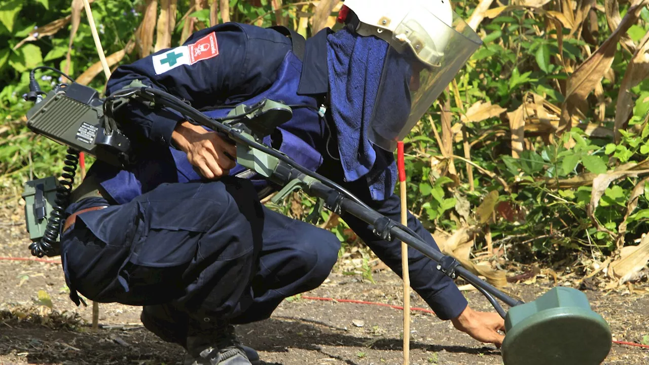 Cambodia's legacy of war remains deadly as 5 are killed by unexploded ordnance over the weekend