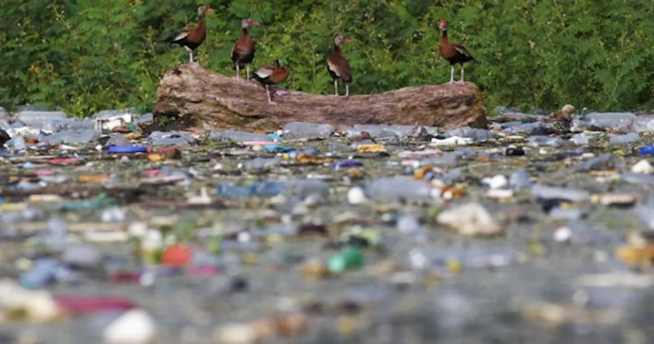 Global plastic treaty talks are happening: What do stakeholders want?