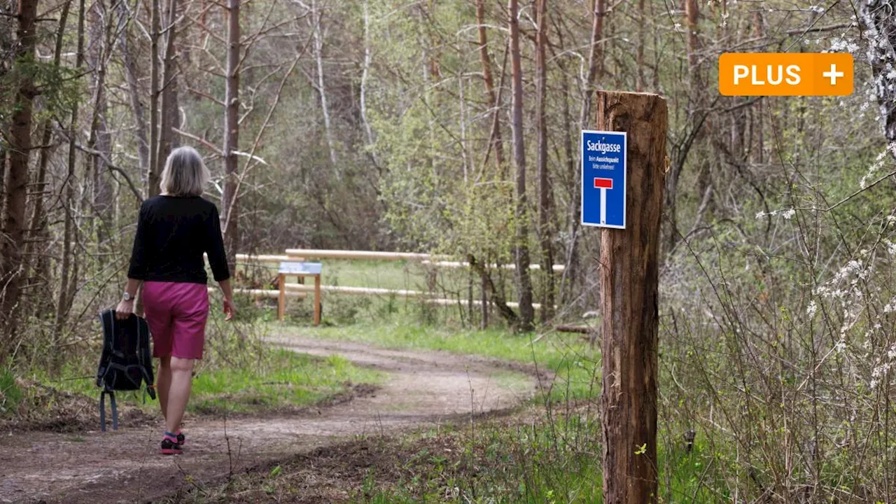 Durch die Schießplatzheide im Stadtwald führt jetzt ein Panoramaweg