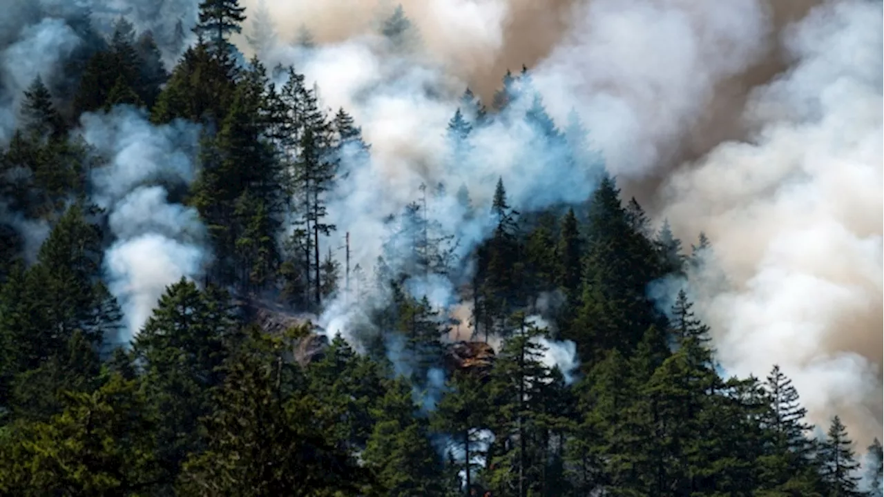 Wildfire Near Canada’s Oil Sands City Prompts Evacuation Alert