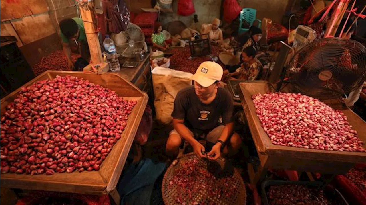 Geger Harga Bawang Merah 'Meledak' Parah, Pedagang & Emak-Emak Ngamuk