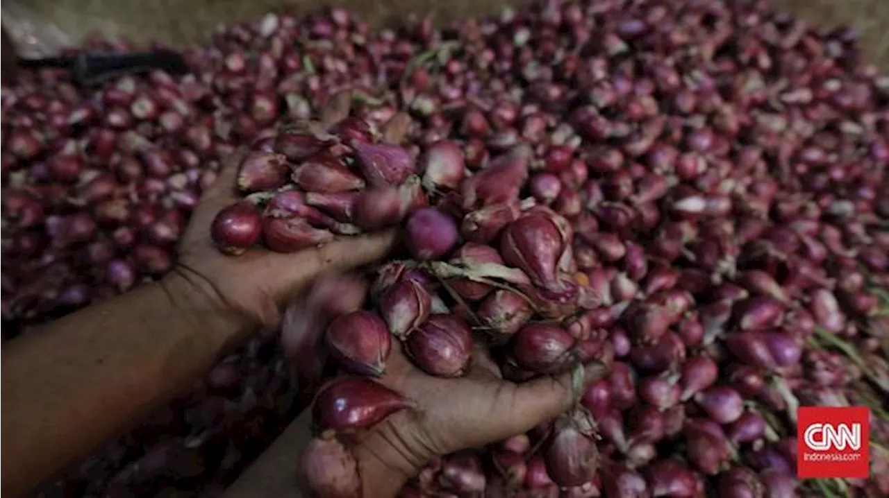 Daftar Harga Pangan Naik: Bawang Merah Makin Bikin 'Nangis'