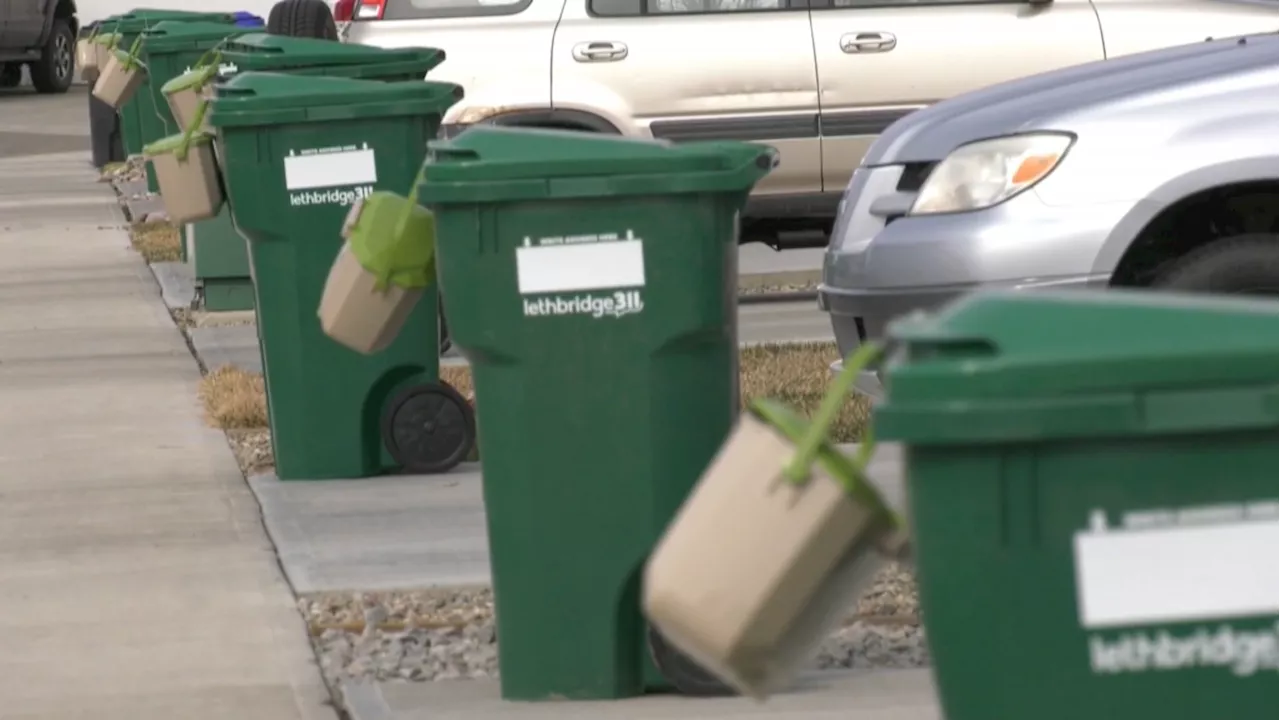 Lethbridge green cart program a success one year in, city says