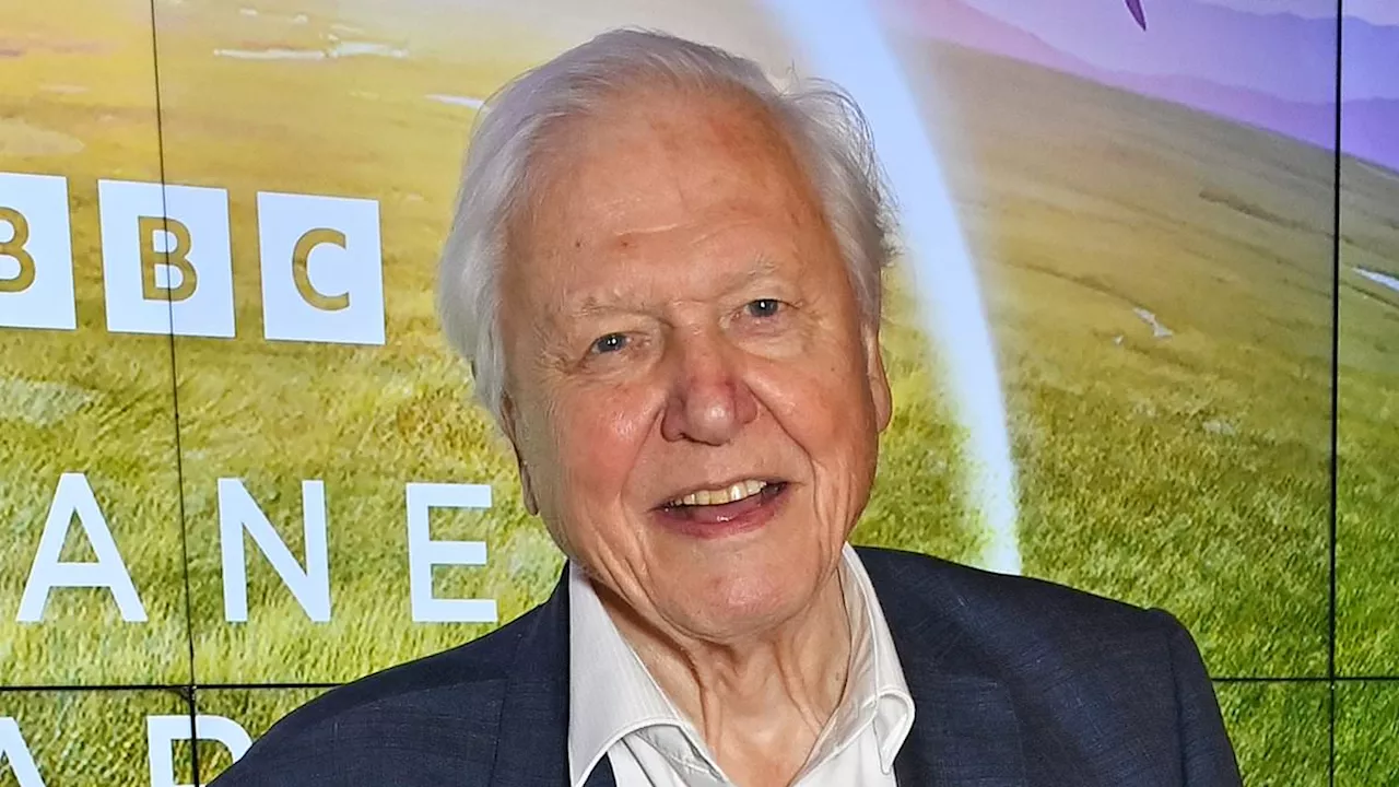 Sir David Attenborough is replaced as the Planet Earth narrator in a one off special as BBC...