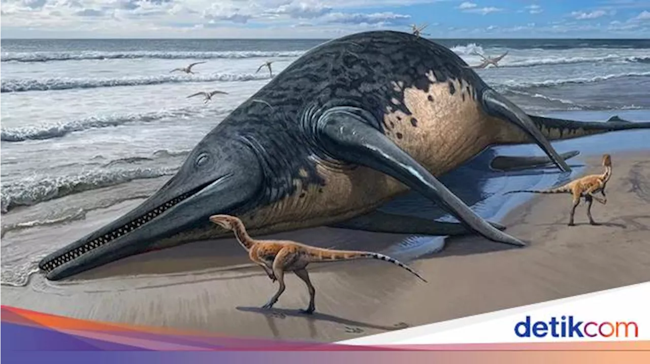 Fosil Diduga Reptil Laut Purba Terbesar Akhirnya Teridentifikasi, Penemunya Para Kolektor Amatir