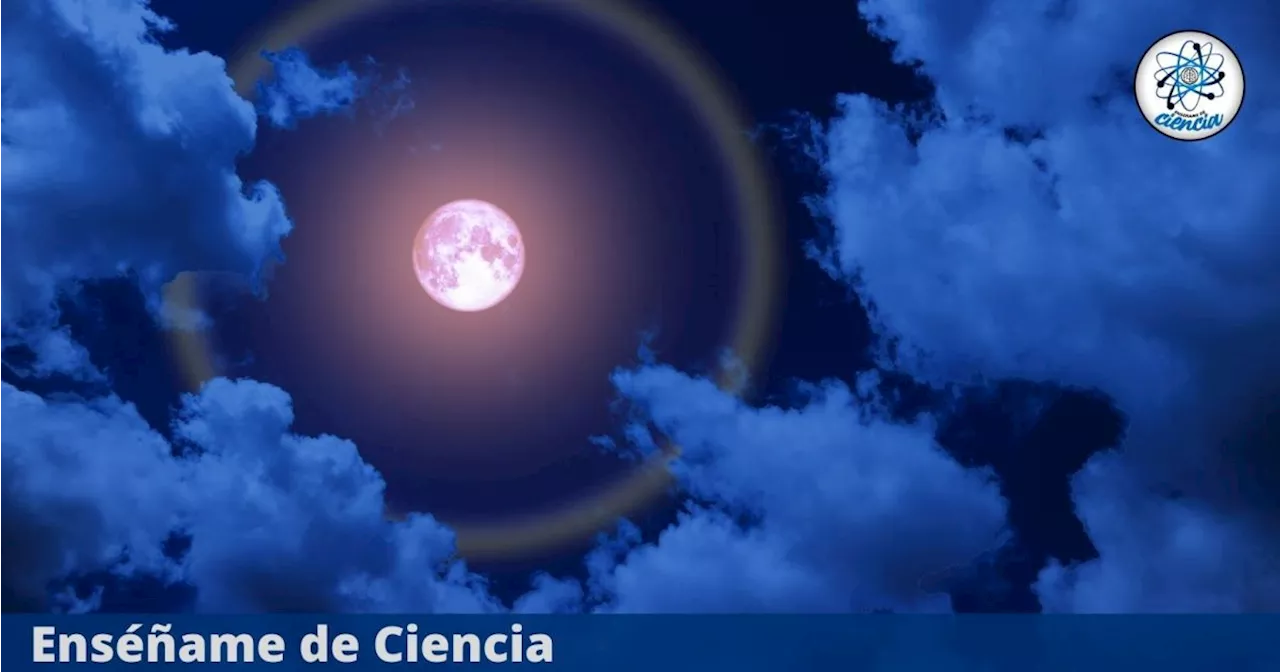 La Luna Rosa 2024 está por llegar: Qué es y cuál es su profundo significado