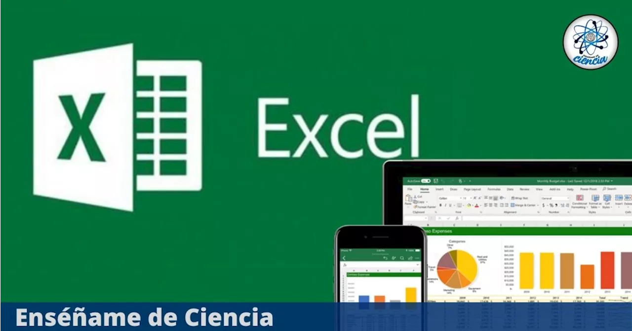 Universidad del Rosario anunció un curso virtual para aprender Excel y es totalmente GRATIS