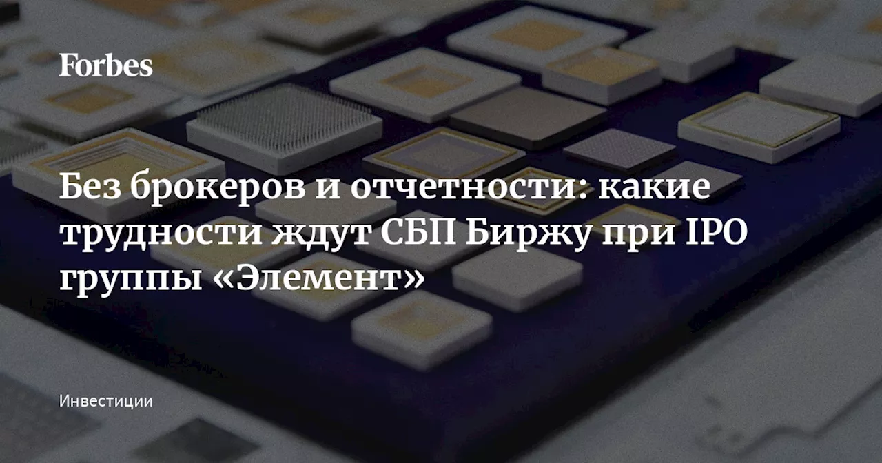 Без брокеров и отчетности: какие трудности ждут СБП Биржу при IPO группы «Элемент»