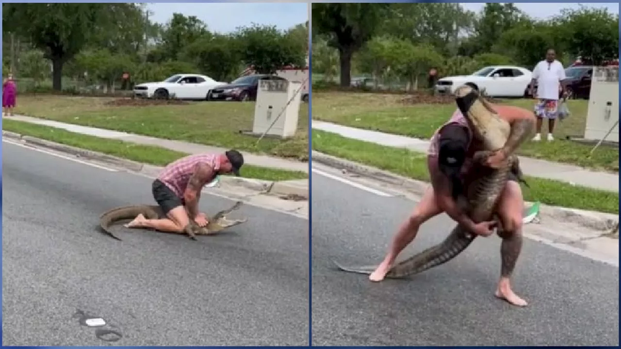 WATCH: Florida man wrangles 8-foot alligator with bare hands and he's not wearing shoes