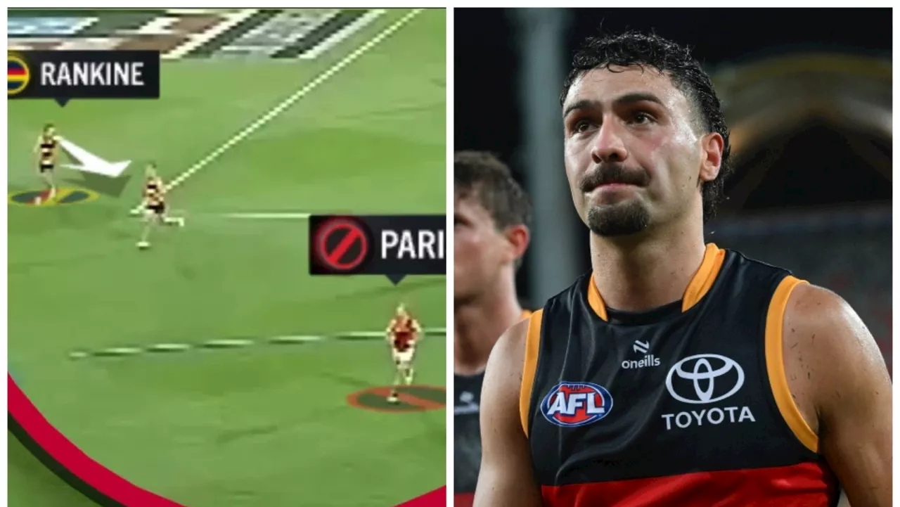 ‘Nothing will change’: Crow slammed amid damning vision... he now ‘has a decision to make’