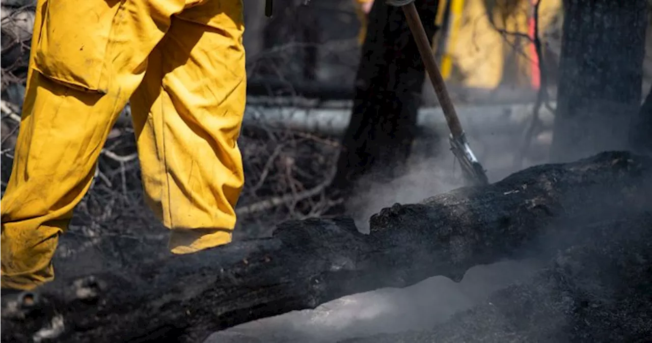 Wildfire breaks out in Lac Ste Anne County, rural residents told to evacuate