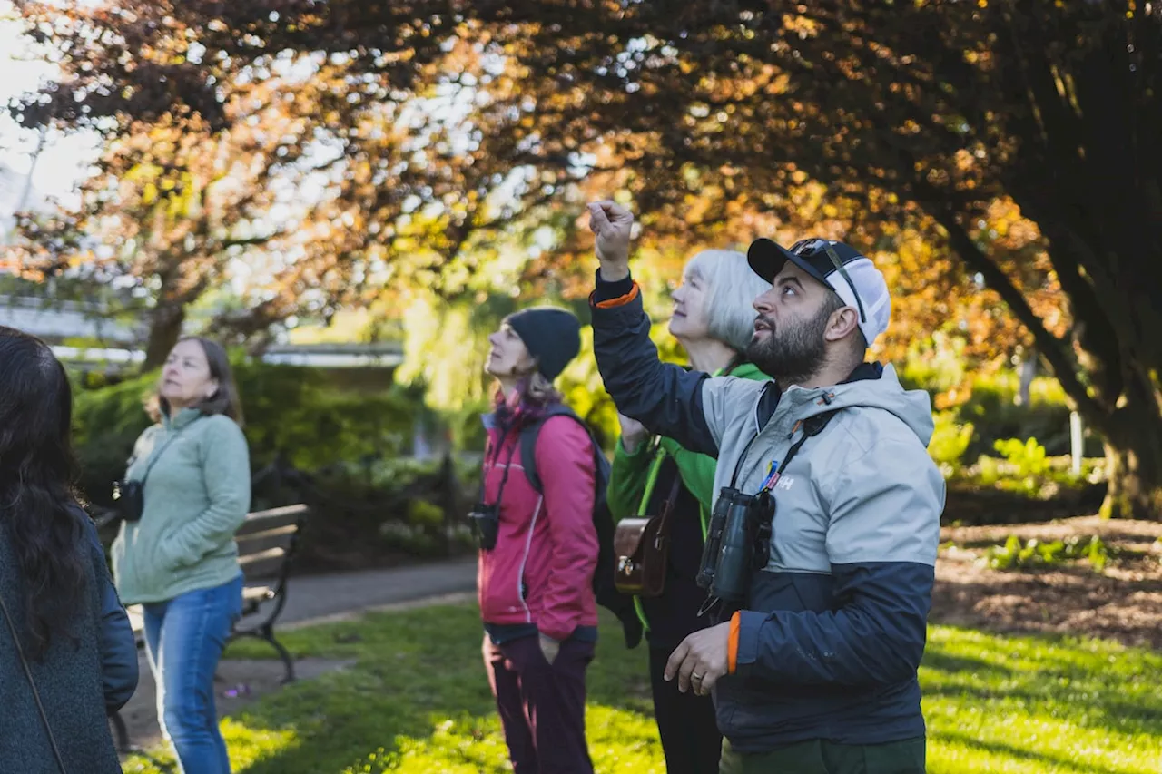 Globe Climate: Canada’s bird watchers are also observing climate change