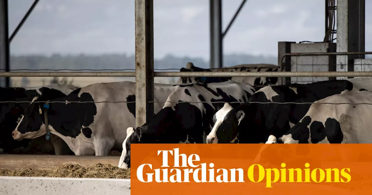 If Australia has reached ‘peak milk’, what does that mean for our food security?