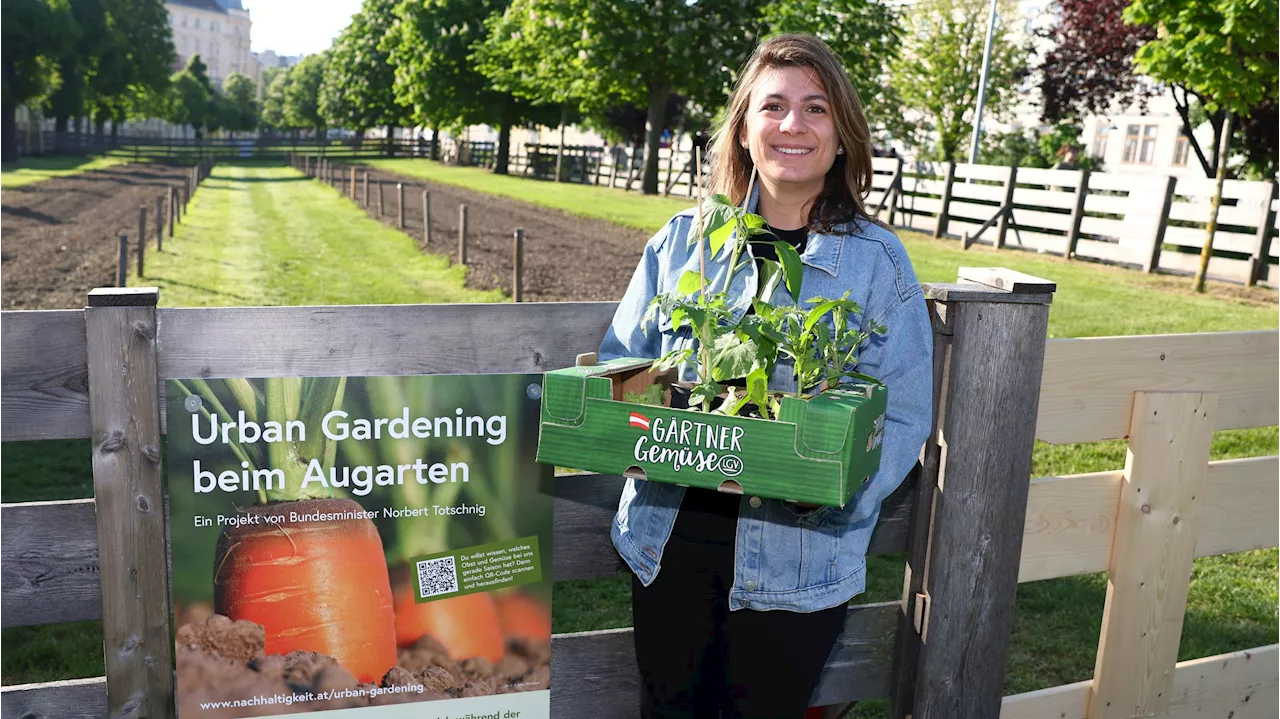 Gratis-Beete laden glückliche Gewinner zum Garteln ein