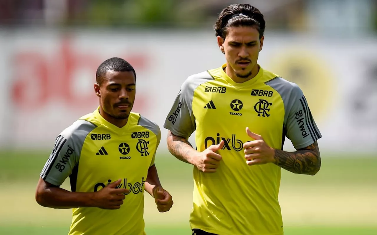 Com Pedro no banco, Flamengo tem partidas com menos finalizações em 2024