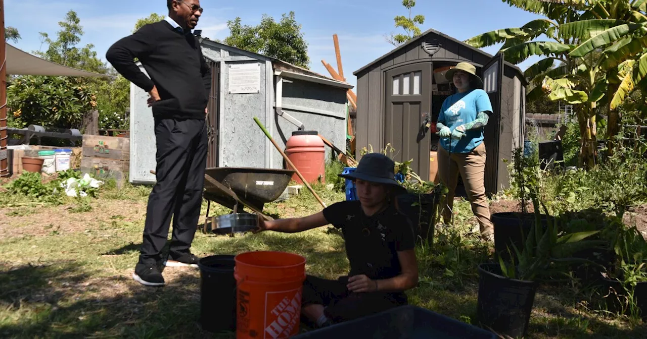 NOURISH reimagines the food business to try to prevent food deserts