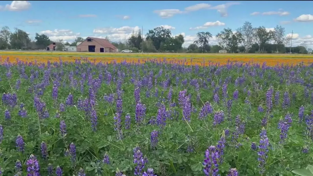 Dos Rios State Park to open in California's San Joaquin Valley in June