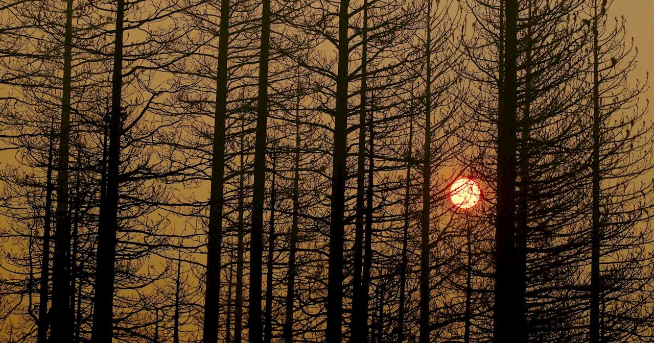 Climate change supercharged a heat dome, intensifying 2021 fire season, study finds